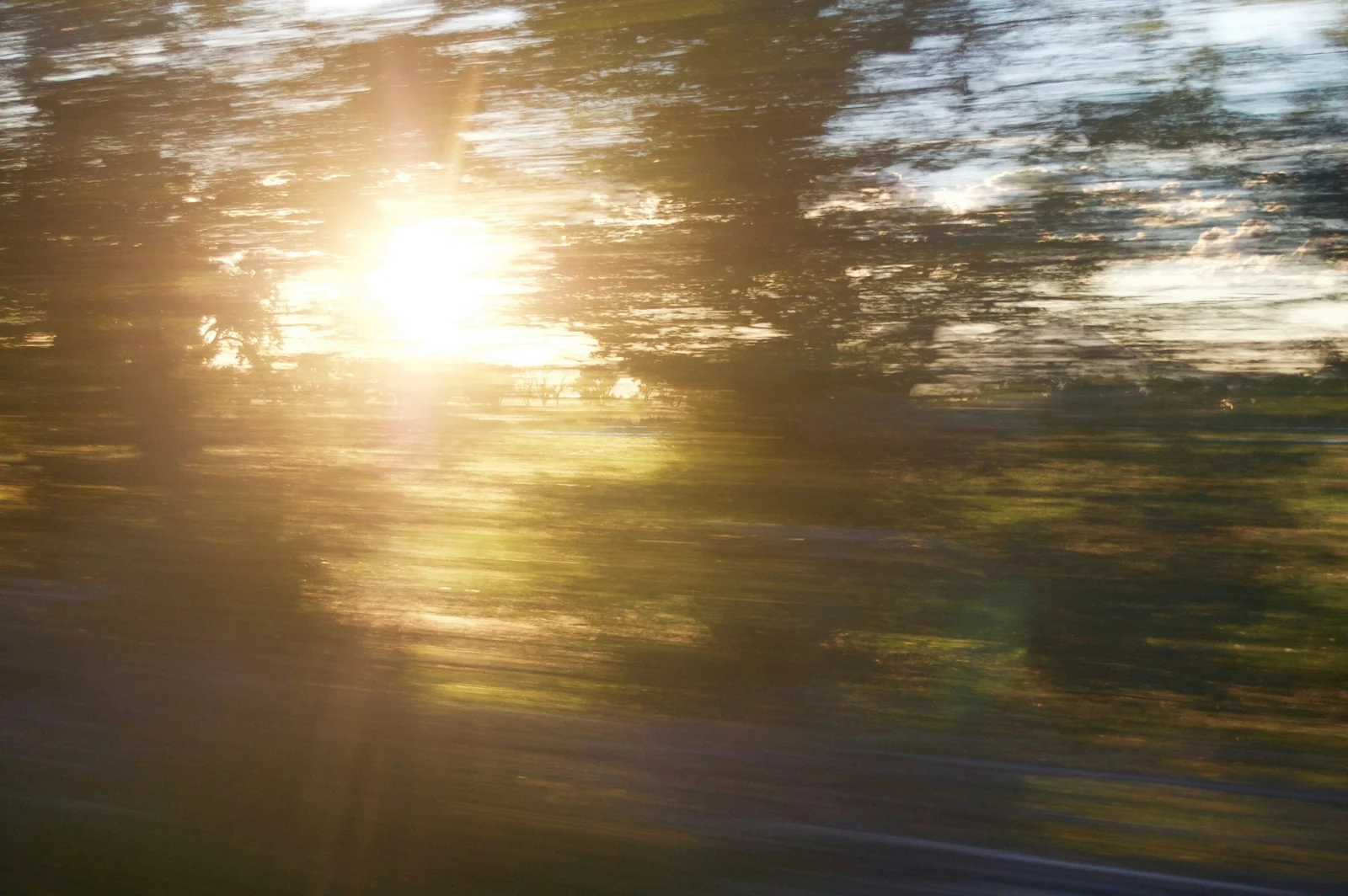 Golden sunlight shining through softly blurred trees